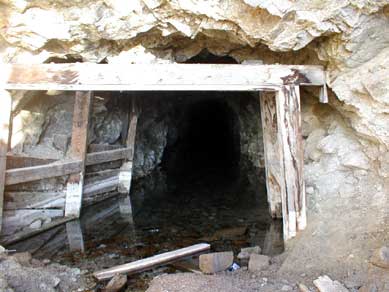 File:Lm4.jpg